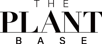 The Plant Base Produkte | Wonder Skin online Shop für Kosmetikprodukte aus Japan und Korea