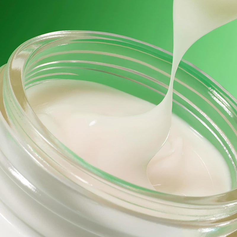 Grüner Tee Samen Hyaluroncreme | Wonder Skin