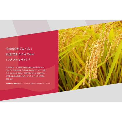 Lululun Face Mask Precious | Wonder Skin Deutschland